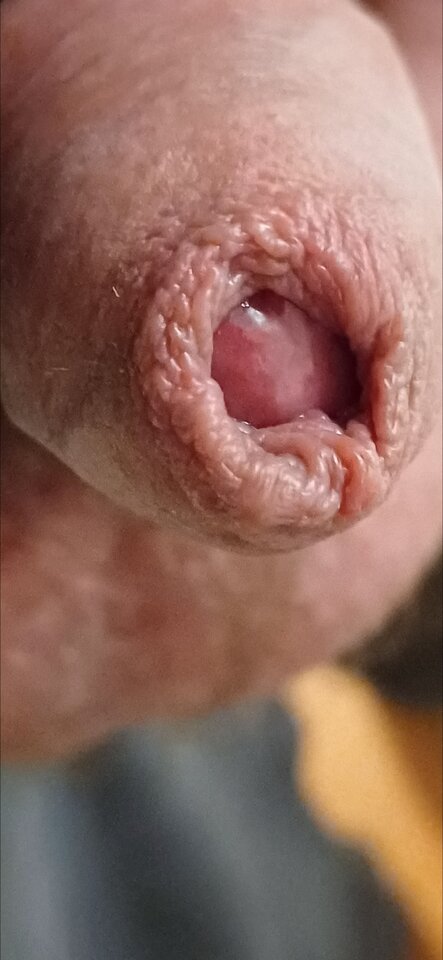 No - Fiutkutaschujjaja