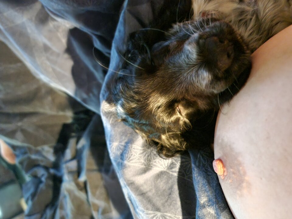 20240217_190232.jpg - Anastazja_bbw