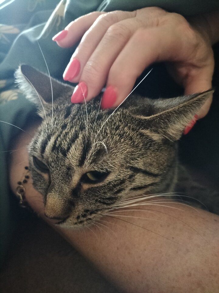 IMG20240217120803.jpg - RealniGrudziadz