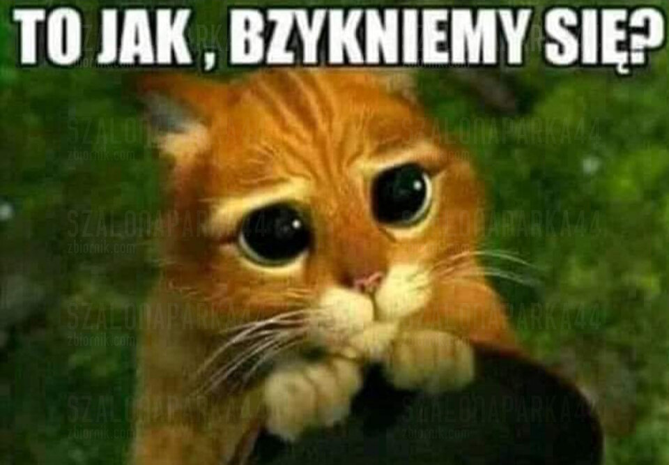 🤔 - SzalonaParka44