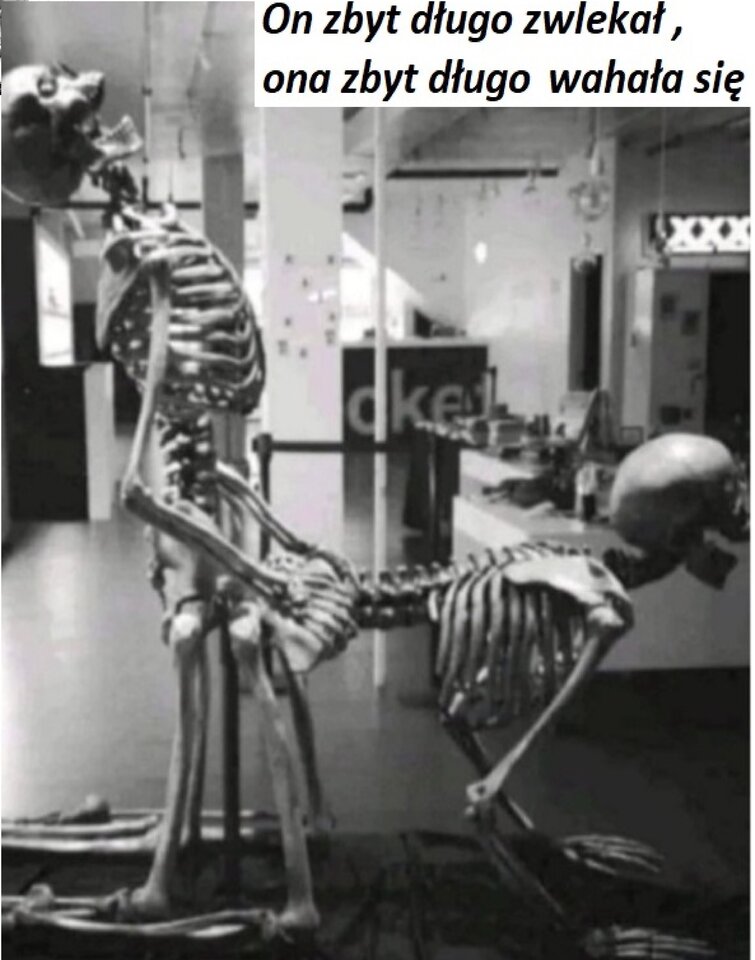 album2.jpg - Amyjacytacy