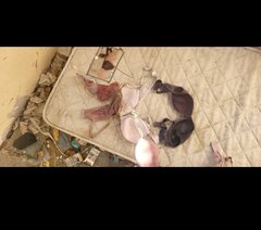 Screenshot_20240125_183543_Samsung Internet.jpg