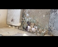 Screenshot_20240125_183537_Samsung Internet.jpg