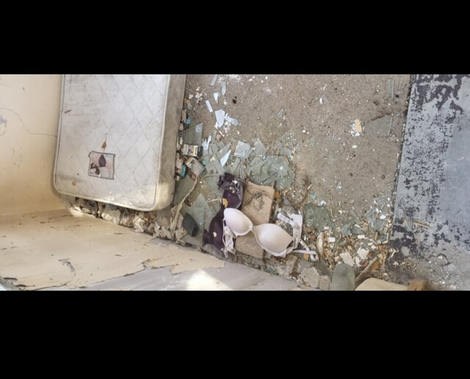 Screenshot_20240125_183537_Samsung Internet.jpg - BESTIALITY