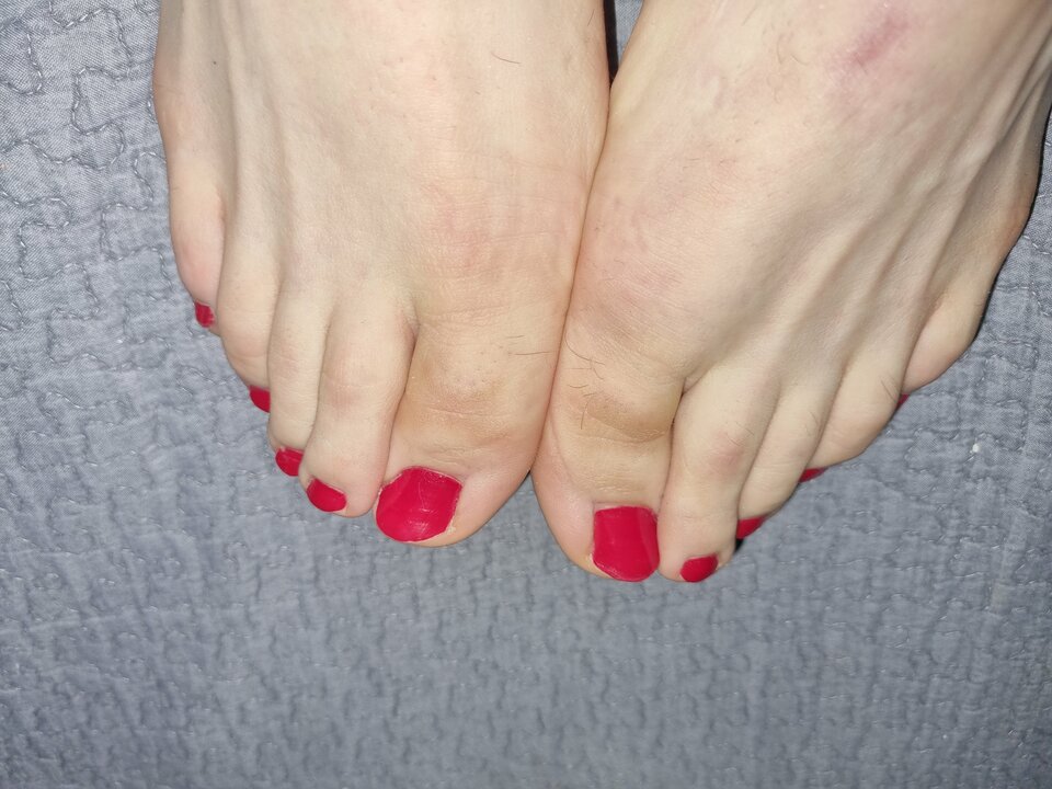 17086351641082569901991097469160.jpg - Viola_69