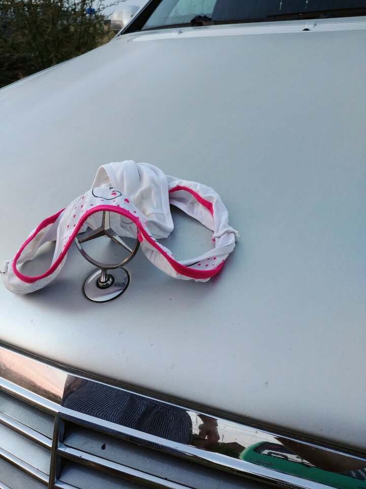 20220817_202217~2.jpg - RozkosznaFantazja