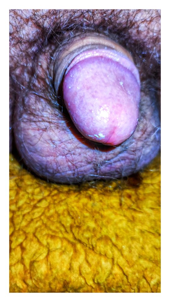 1708729103444-01.jpeg - PuszystyLubuskie