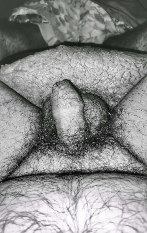 1708729342961-01.jpeg - PuszystyLubuskie