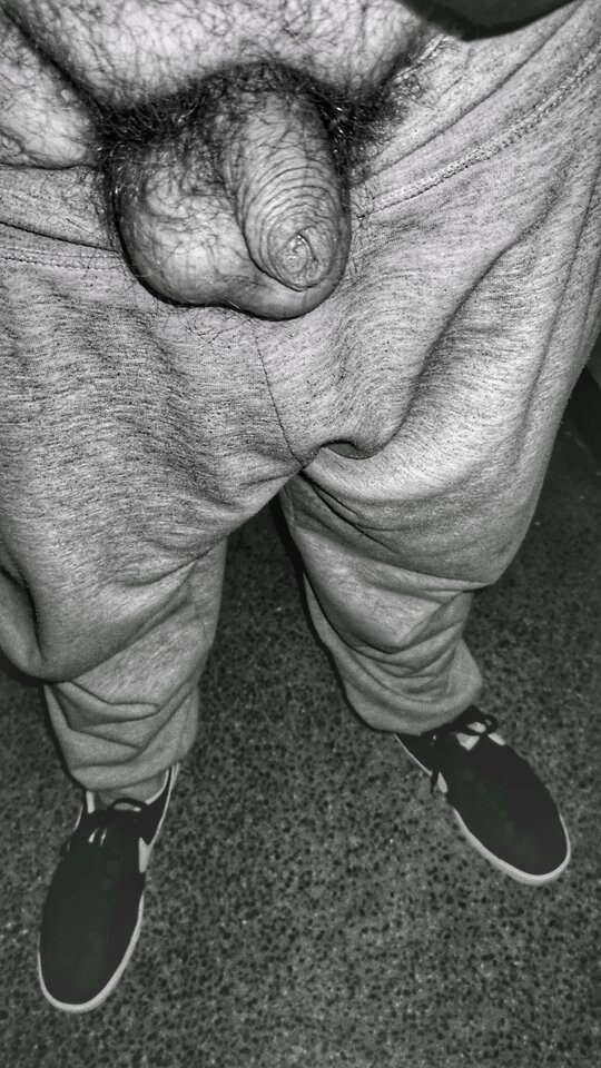 1708729445661-01.jpeg - PuszystyLubuskie