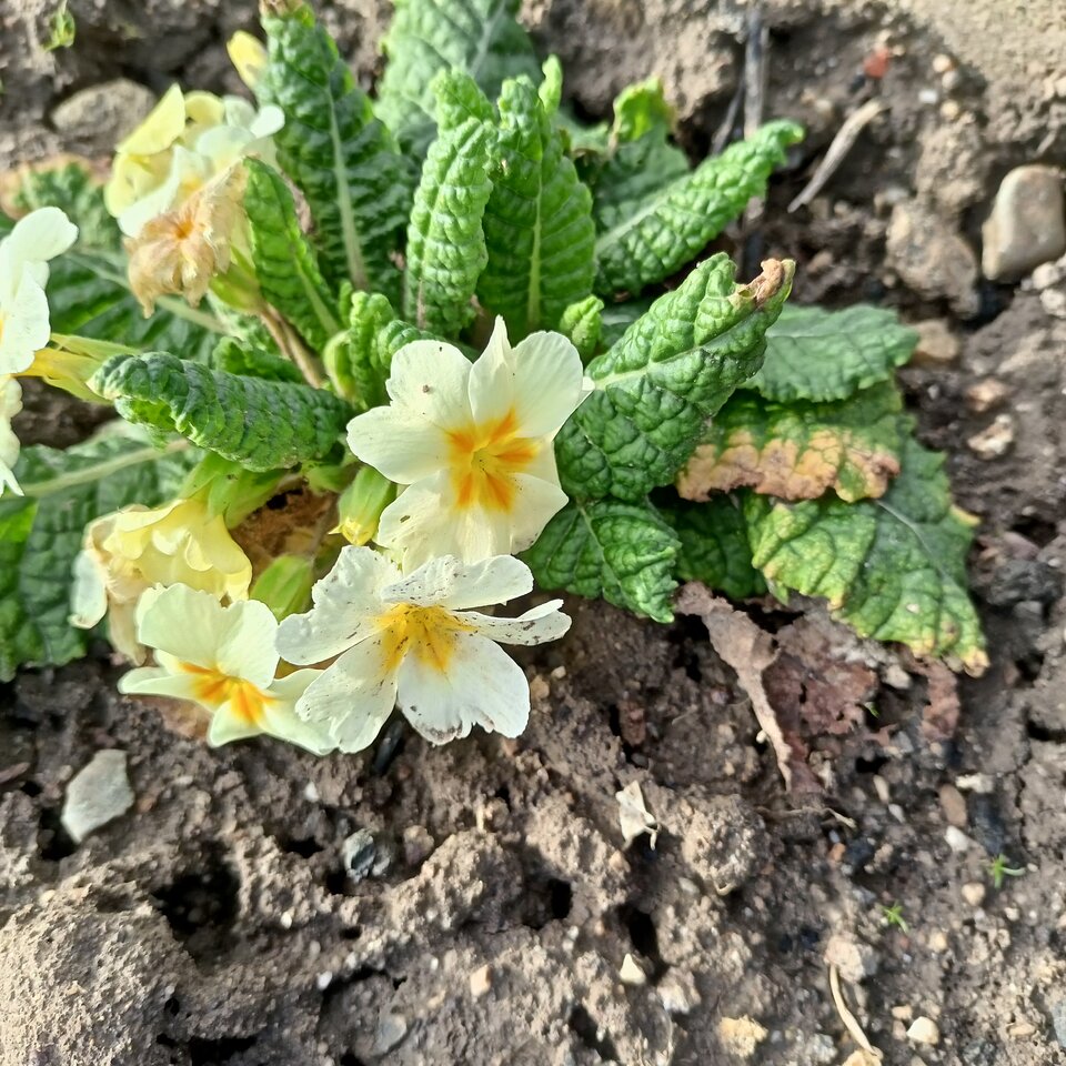 IMG20240216140626.jpg - Zapamietaj3