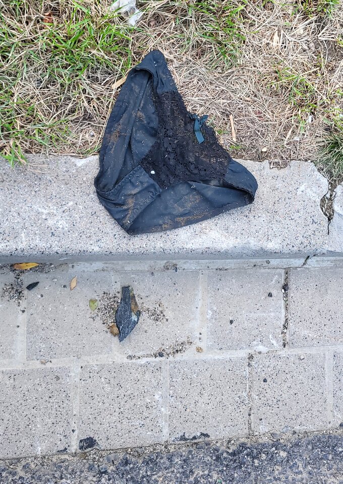 20231008_172436.jpg - BESTIALITY