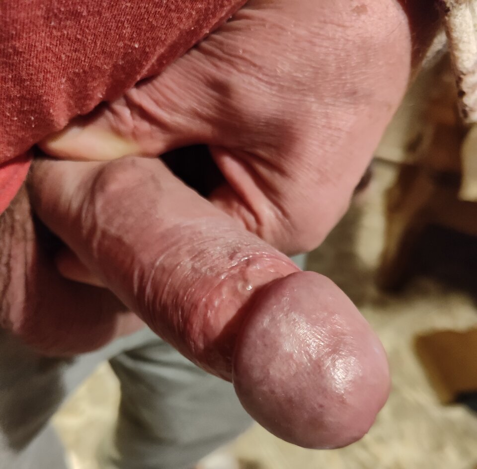 1000013713.jpg - jogan