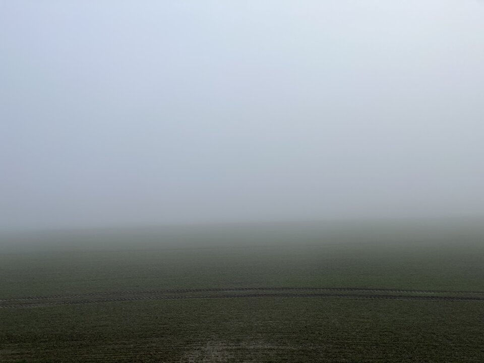 image.jpg - Zwyklyfacet3