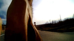 20240227_152702A.mp4_snapshot_01.33_[2024.02.28_11.25.56].jpg