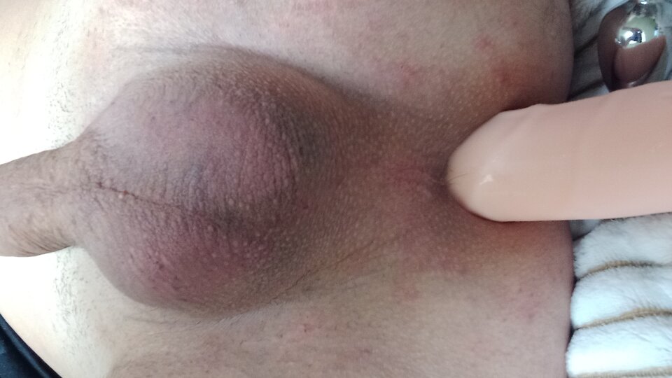 20240229_092837.jpg - Anallove1979