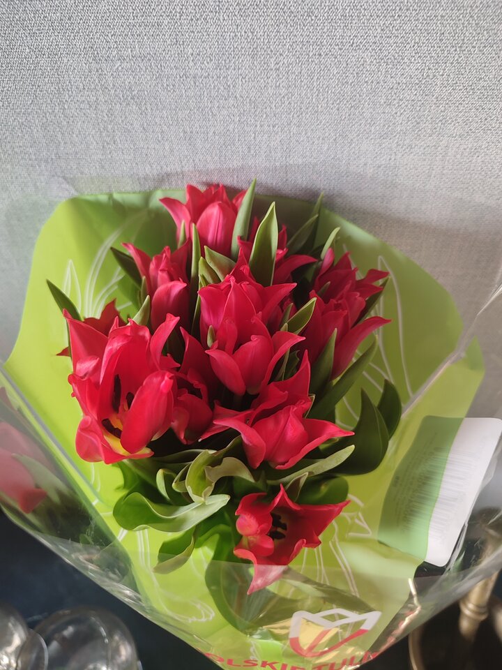 IMG_20240229_151505.jpg - brunetkakr