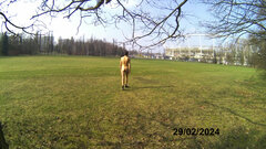 20240229_115607A.mp4_snapshot_00.24.130.jpg