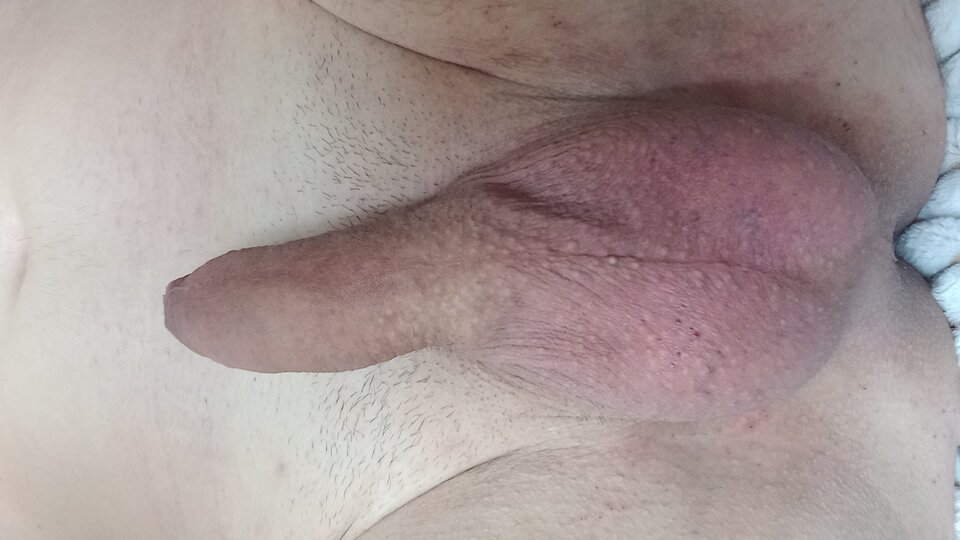 20240301_082238.jpg - Anallove1979