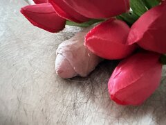 IMG_1188.JPEG