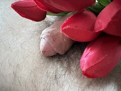 IMG_1187.JPEG