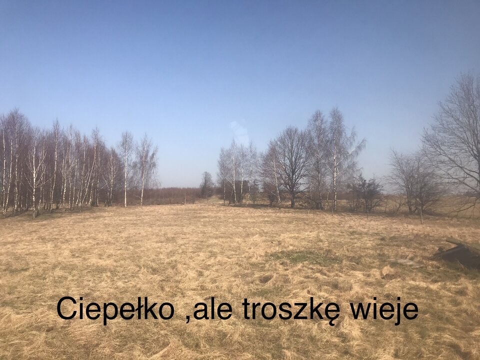 718D074E-981E-456F-BB69-68F5E83F8338.jpeg - Aniolmak