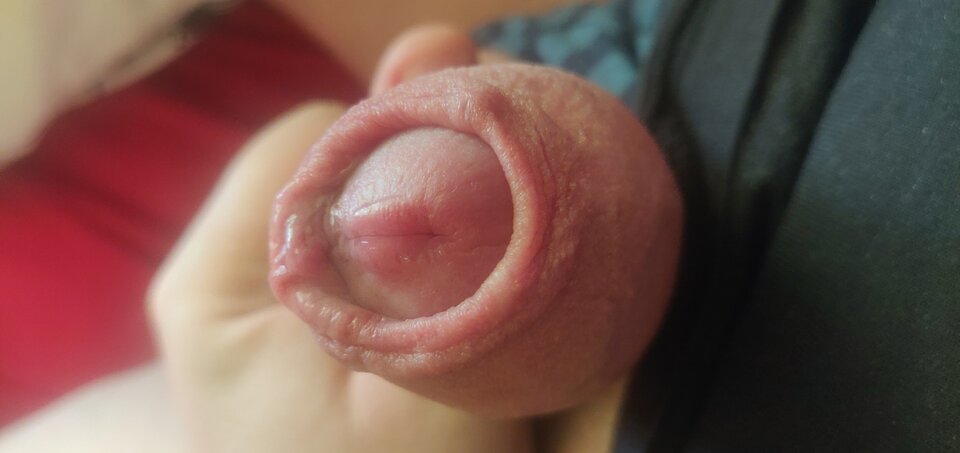 IMG_20240303_161222.jpg - fajnykutasek25