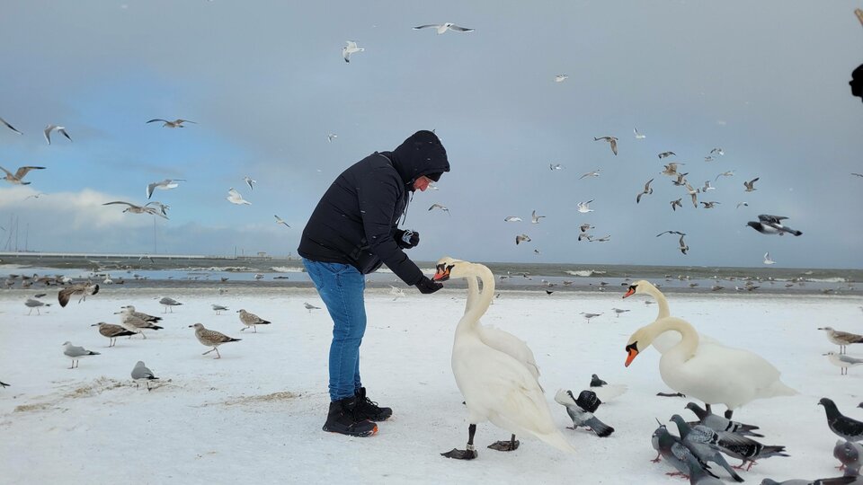 20230204_131423.jpg - Falakon