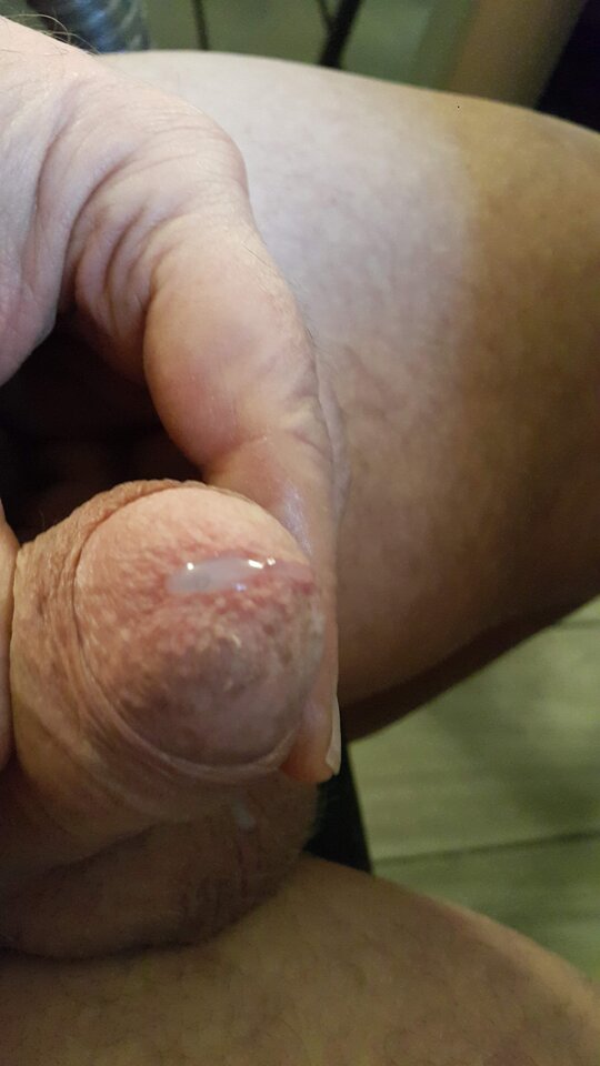 20240306_153121.jpg - robekBi