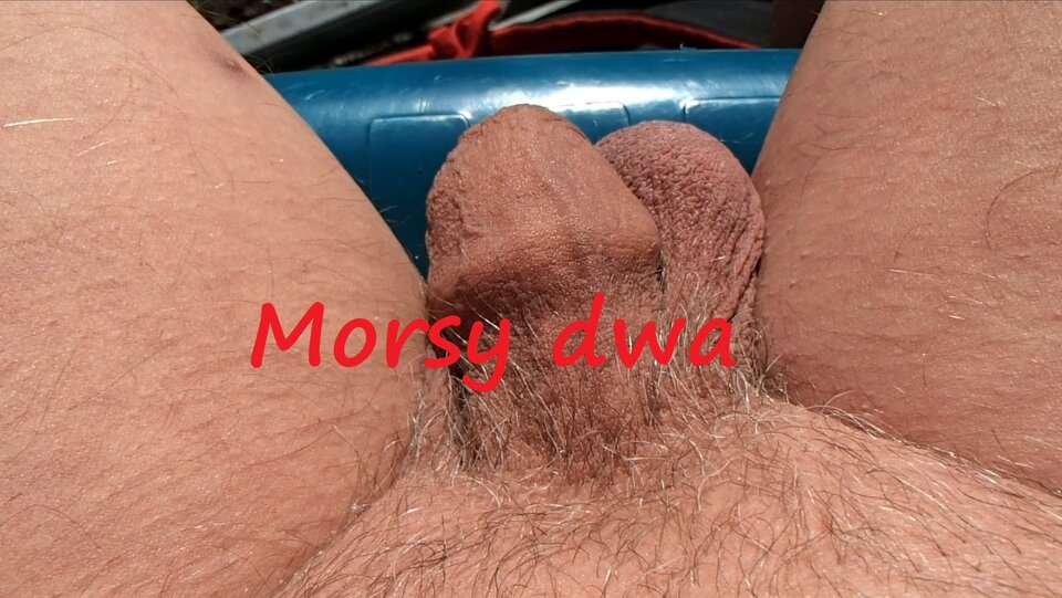 W słoneczku ! Grzało !!! - Morsy_dwa