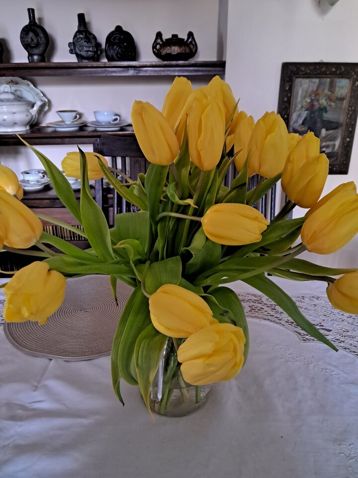 1000015063.jpg - mmrruum