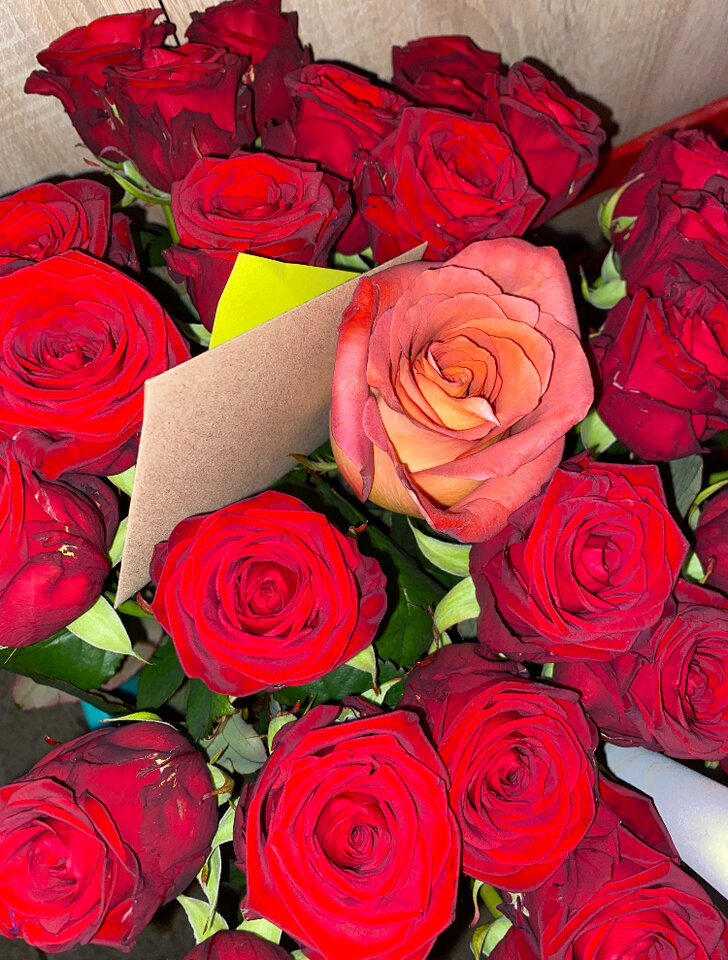 W Dniu Kobiet ..życzę Wam .. - ChceszDziesiecOrgazmow