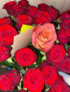 W Dniu Kobiet ..życzę Wam ..