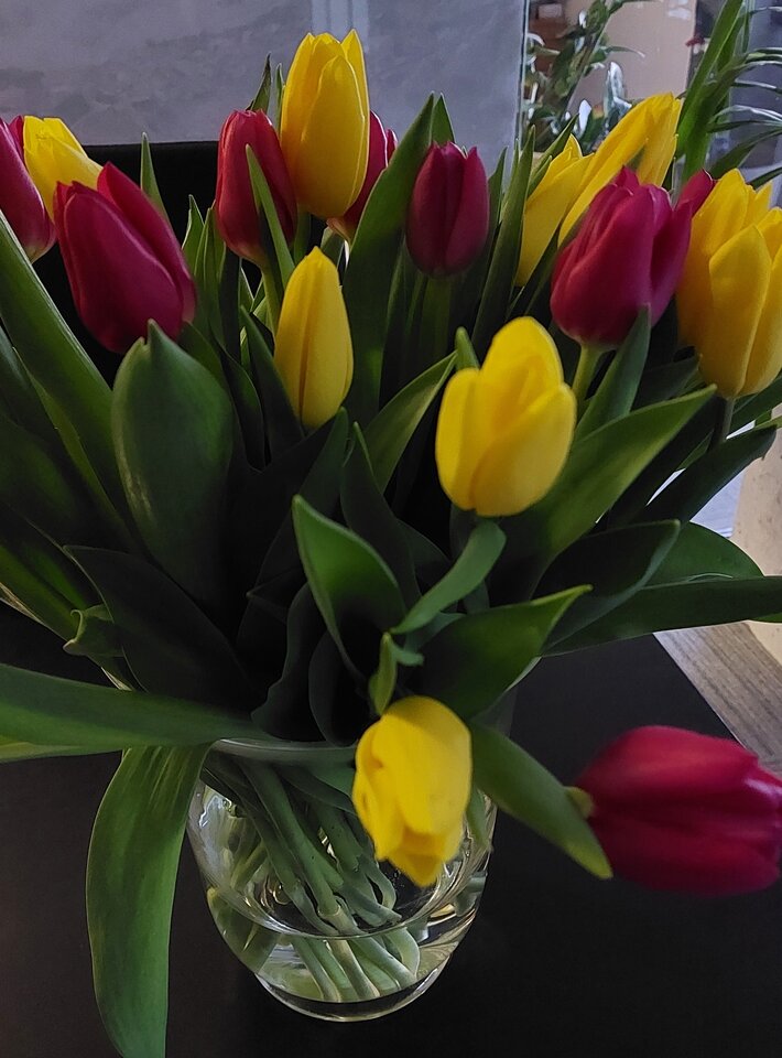 1000006523.jpg - antidotumm