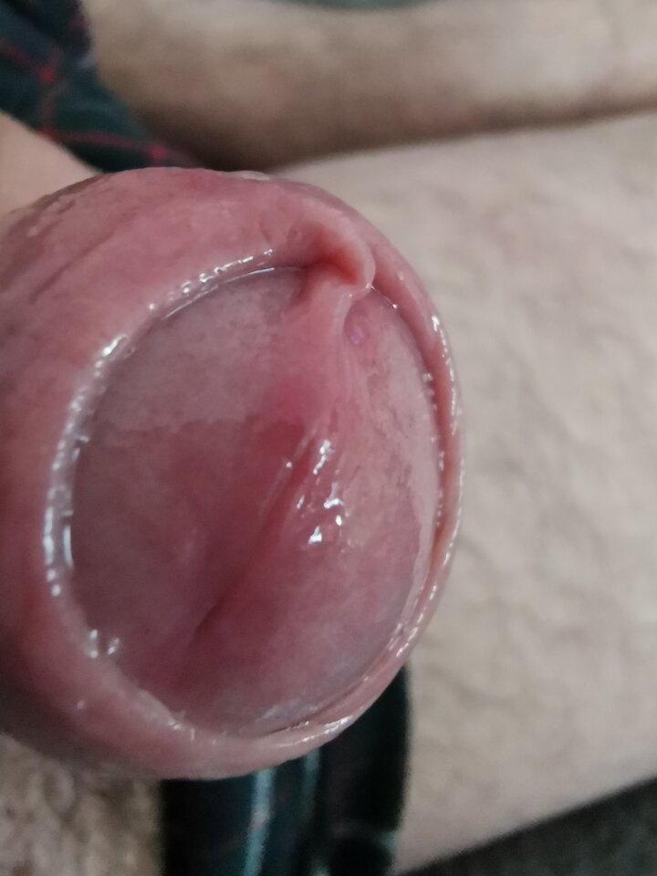 IMG_20240208_123424.jpg - Zi0001