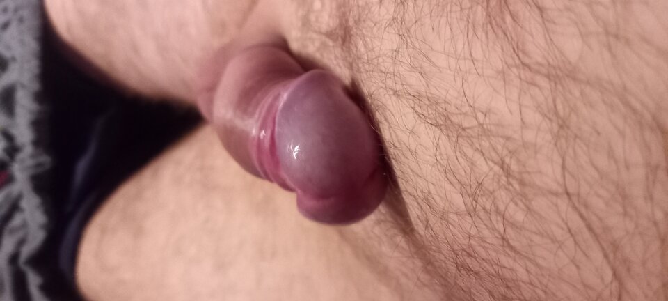 20240309_205635.jpg - Kogut1111