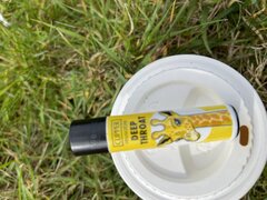 IMG_8876.jpeg