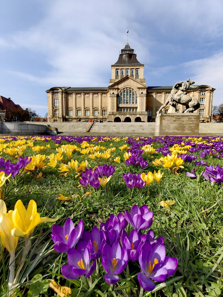 IMG_20240310_120826_edit_487424737291405.jpg - Hedonist11