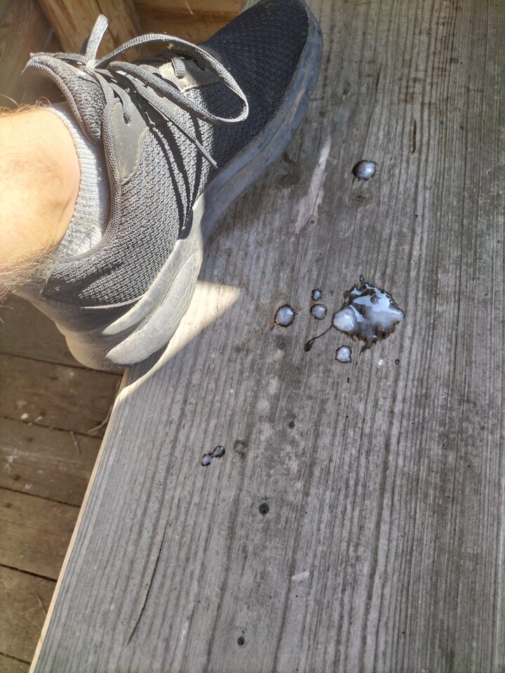 IMG20230907111630.jpg - Milu2