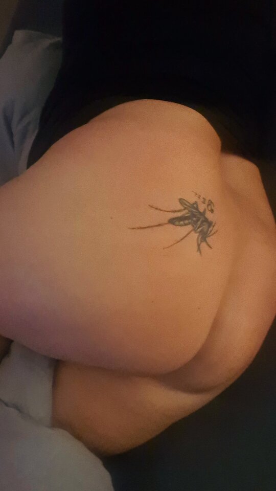 20240310_223718.jpg - Fantazja124