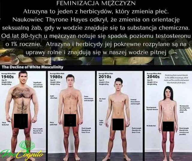 IMG_8869.jpeg - May_Day