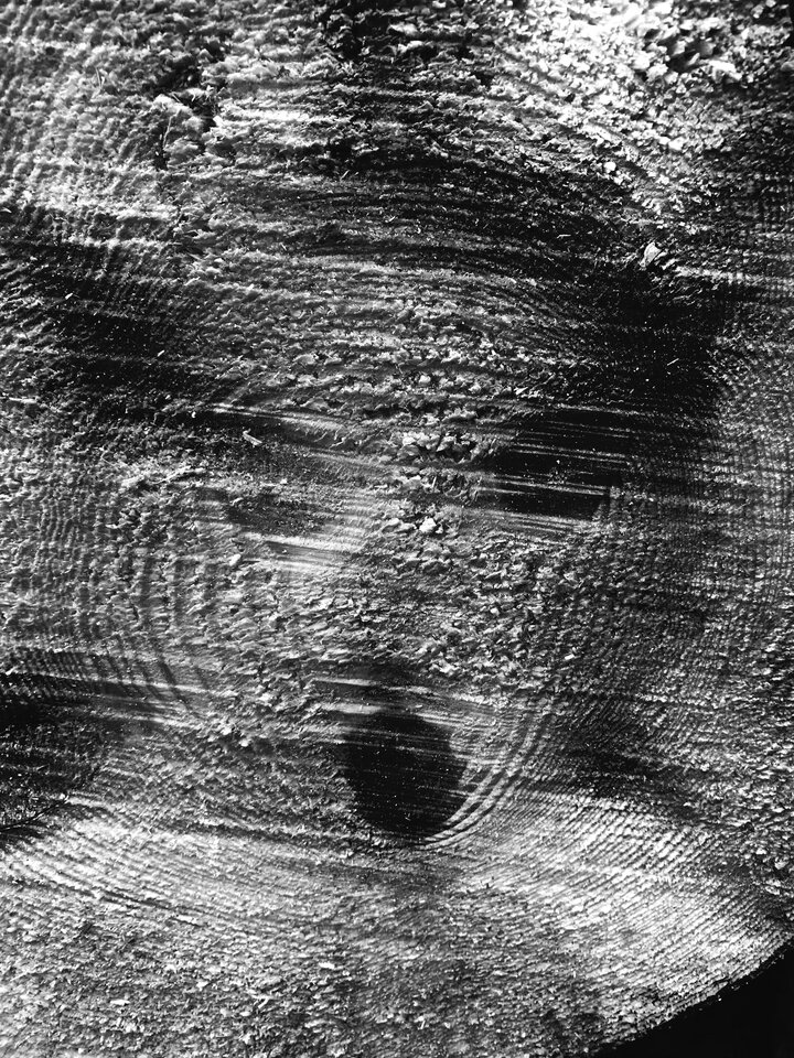 0522C9D0-24B3-4158-8D7D-471B03E501BB.jpeg - erwu73