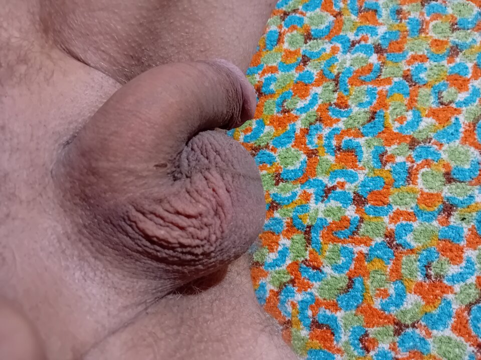 20240313_053000.jpg - brus13