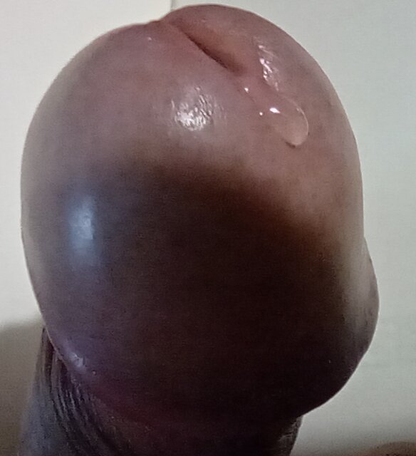 IMG_20240313_072333.jpg - Jawoeownik