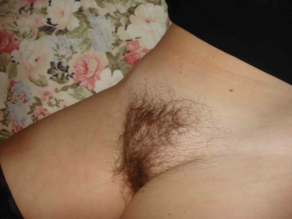 DSC01276.JPG - Berektors