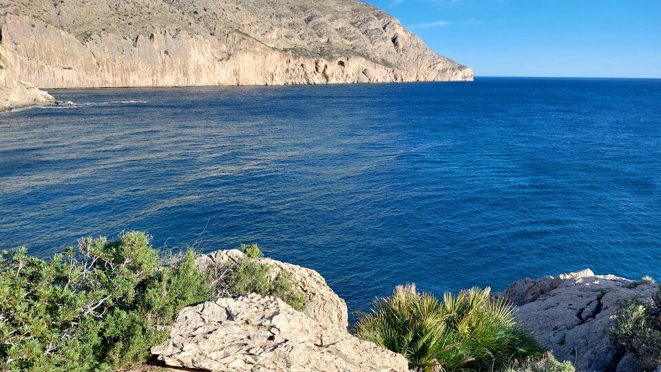 Lazur - TrzpiotNienasycony