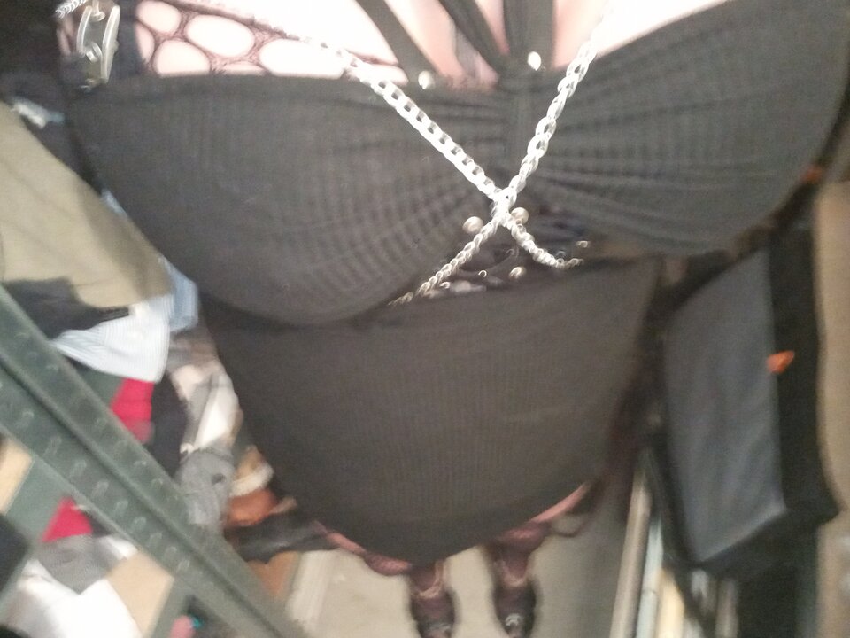 20241208_054002.jpg - paulstarkface