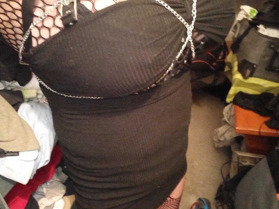 20241208_054052.jpg - paulstarkface