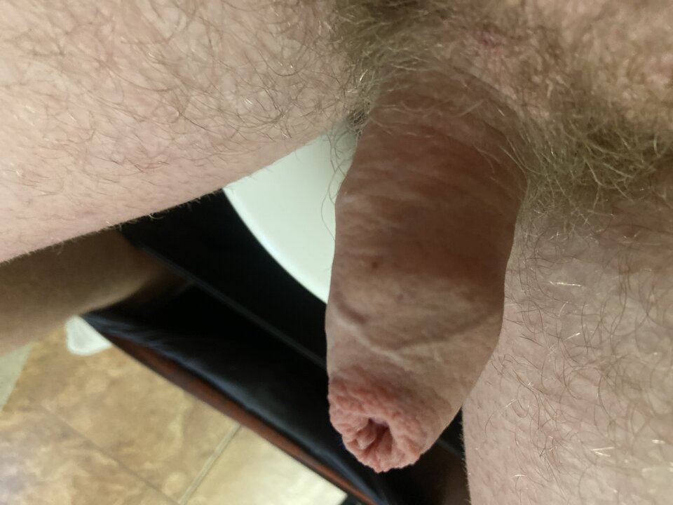 image.jpg - ParaDK2332