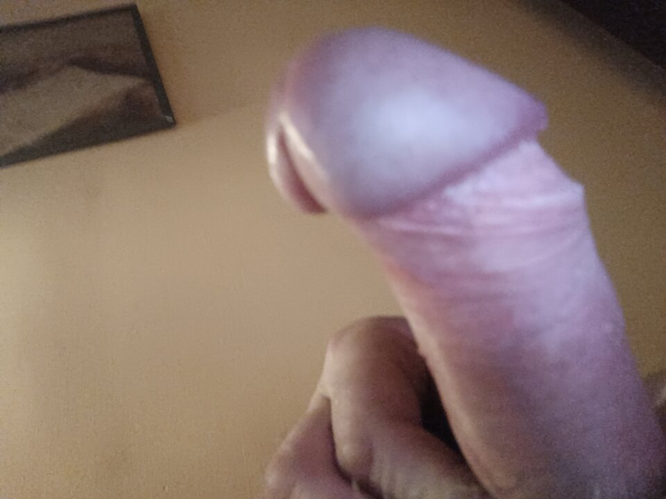 17336495176135669890556431779114.jpg - ardas1