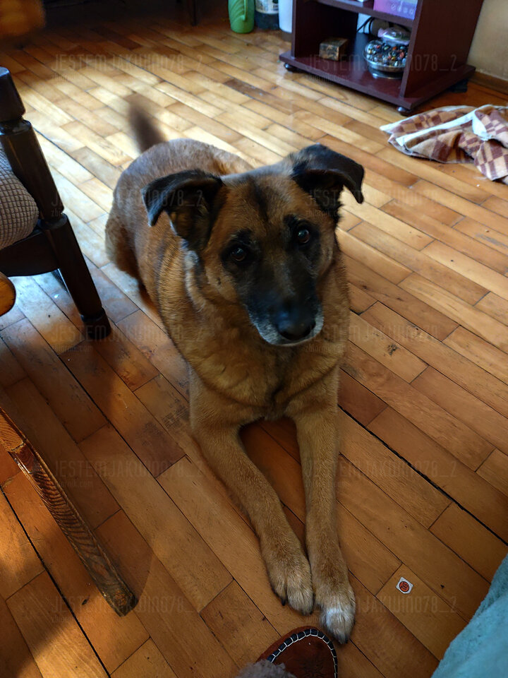 1000002701.jpg - Jestemjakwino78_2